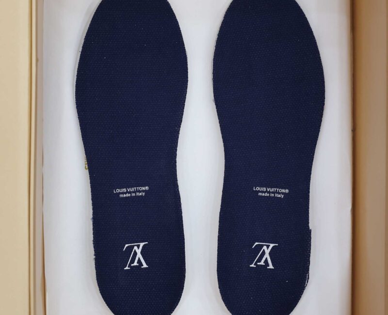 Louis Vuitton Lv Trainer #54 Signature Marine Blue