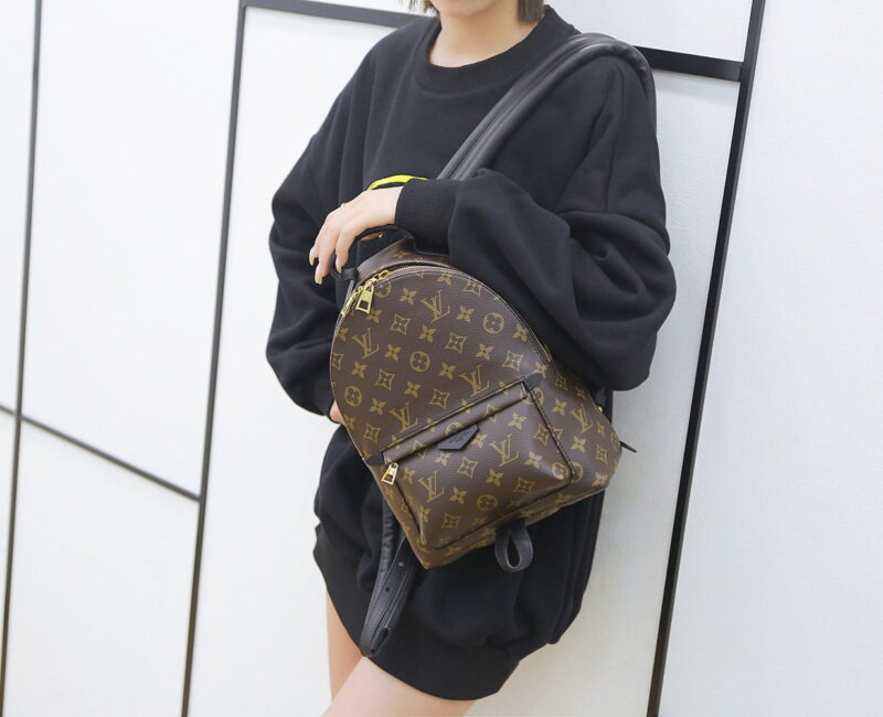 Balo Backpack LV Palm Spring PM