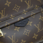 Balo Backpack LV Palm Spring PM