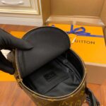 Balo Louis Vuitton Palm Springs Mini Brown